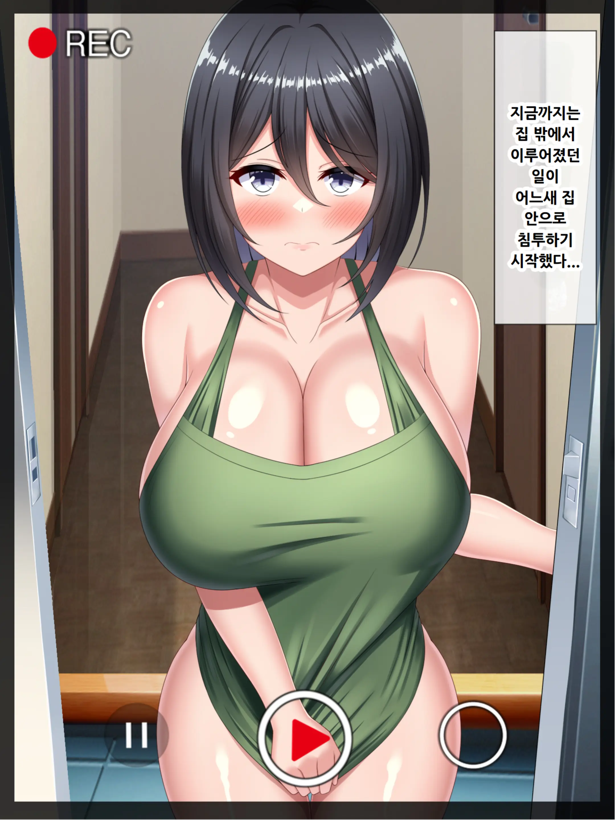 Kyou Mo Ore Wa Netorareru Tsuma O Nagameru